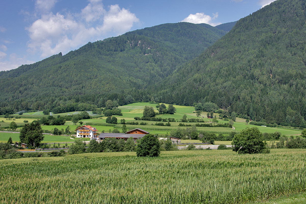 impressionen-bauernhof-kronplatz-03