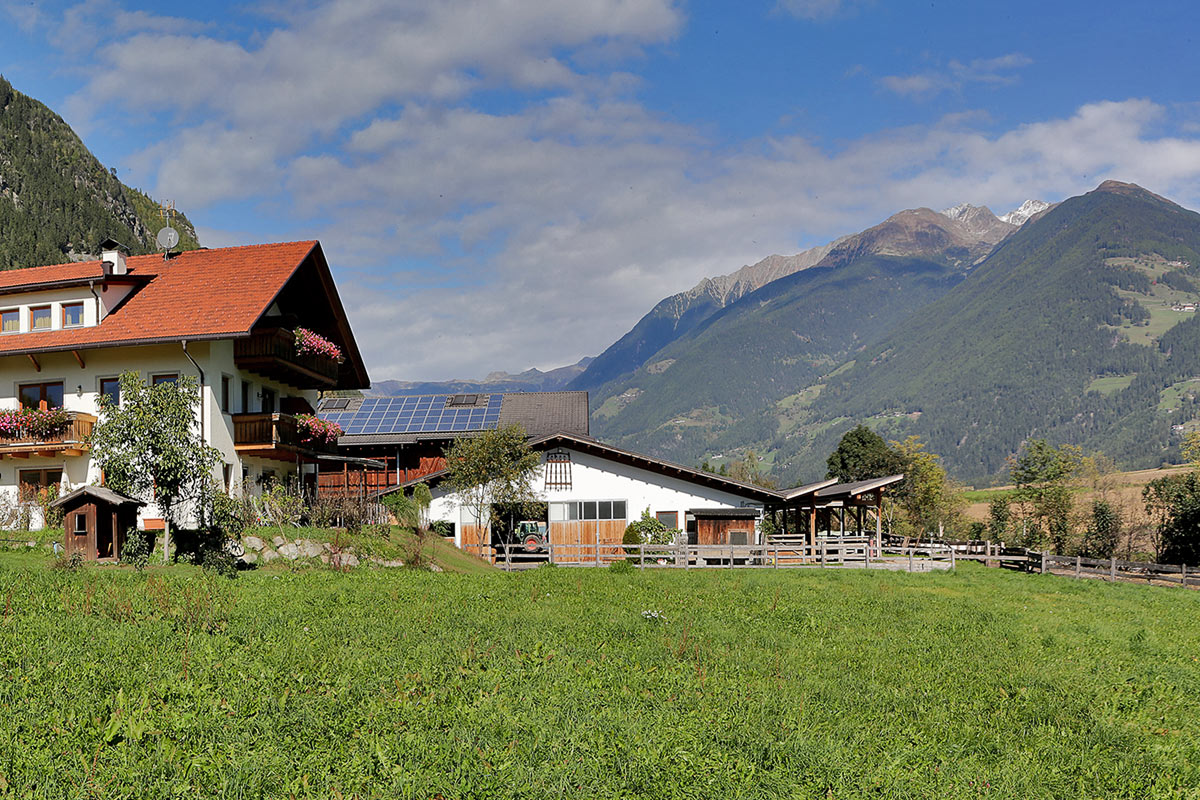 impressionen-bauernhof-kronplatz-05