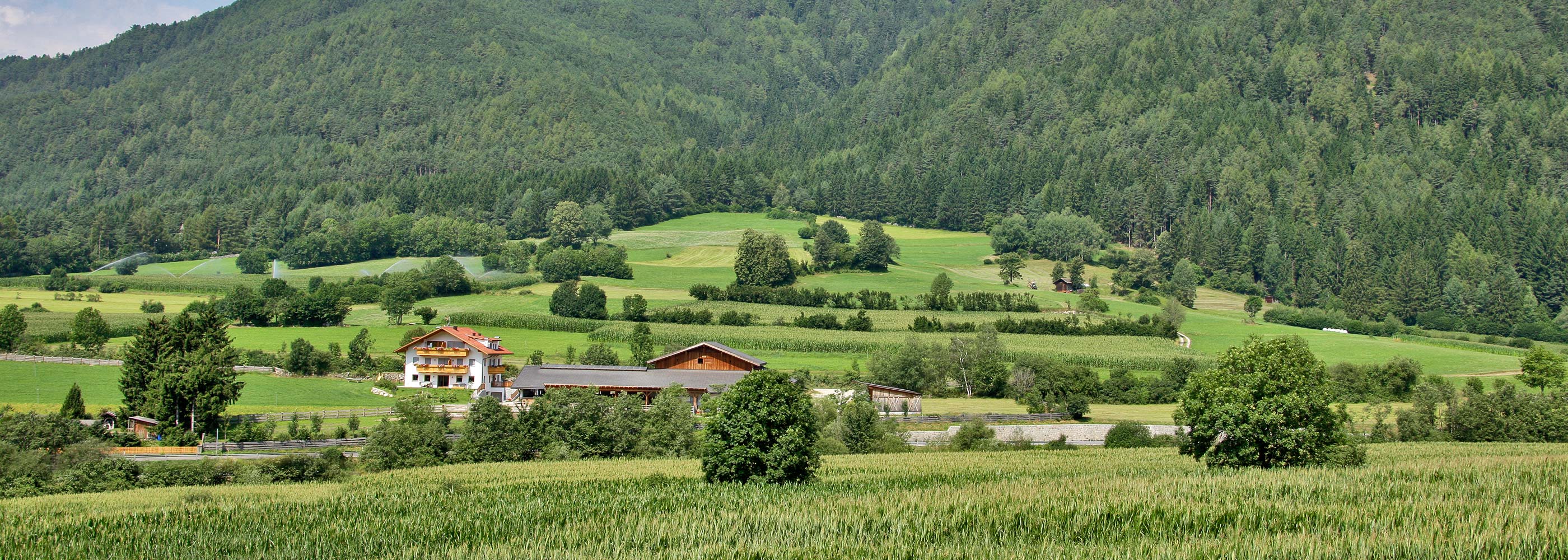 pano-impressions-farm-vacation-south-tyrol